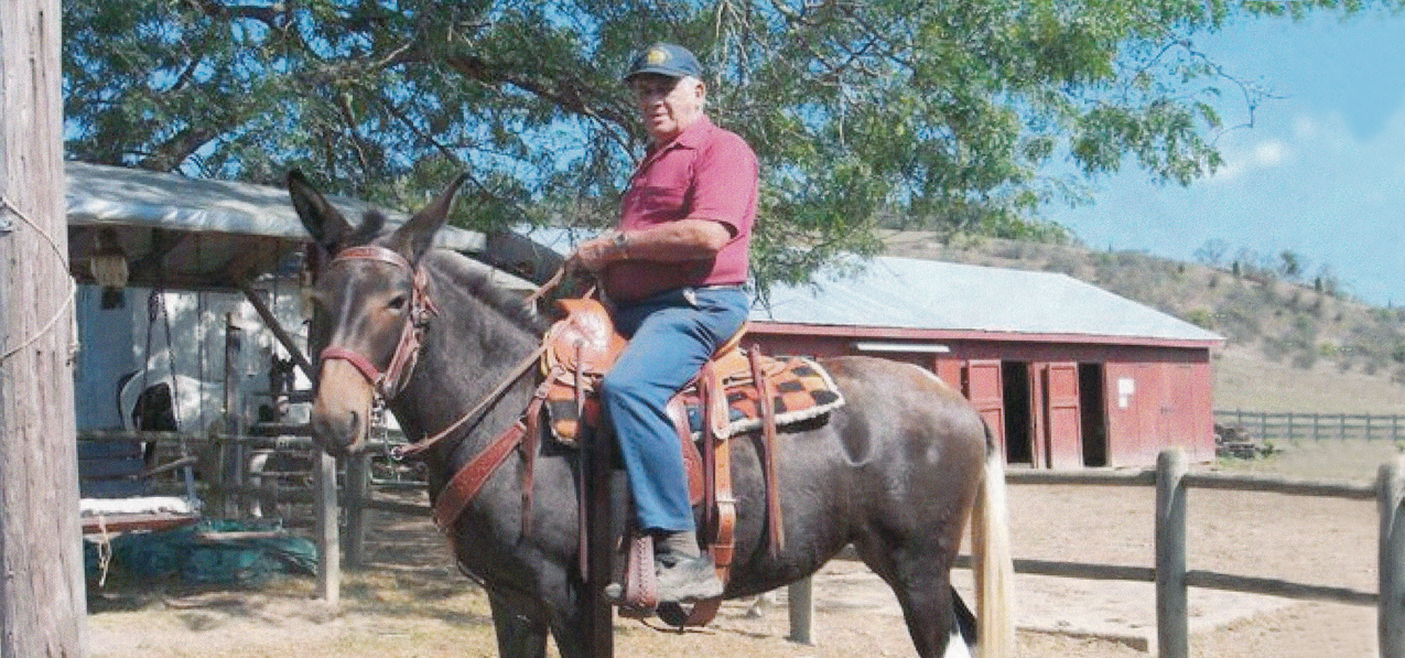 Horse (Jack Willard Hayton) PROOF